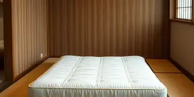 薄型畳布団